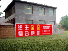 姚安如何让墙体广告展现最大化效果
