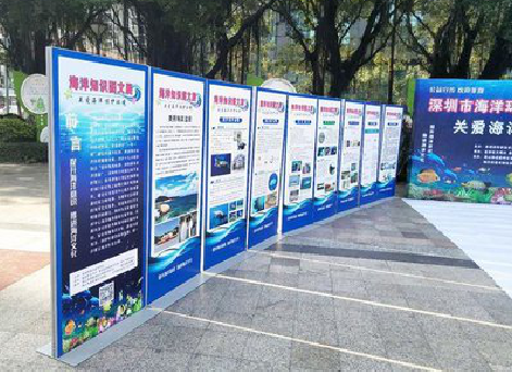 姚安KT板的种类和知识。